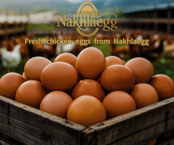 gambar produk telur ayam segar
