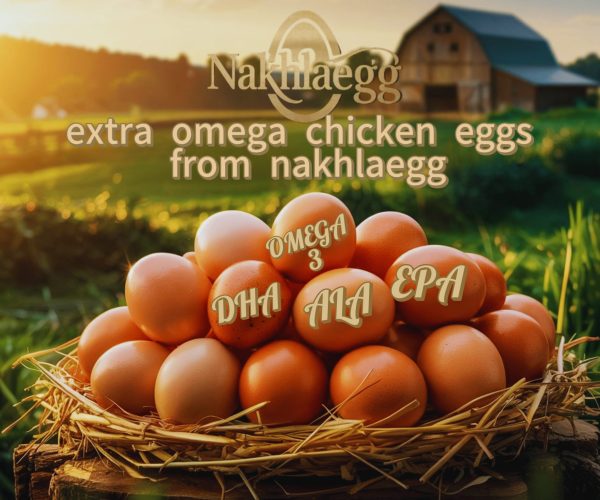gambar produk telur extra omega