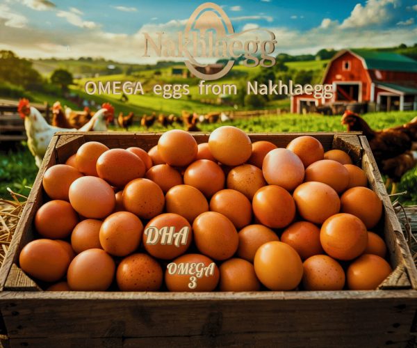 gambar produk telur omega